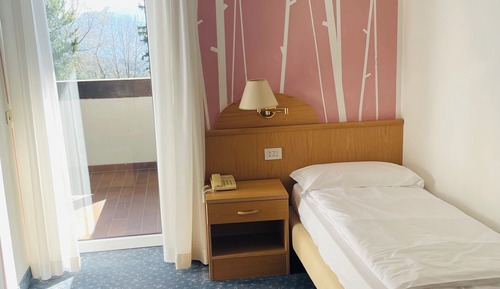 Superior Single Room, Mountain View