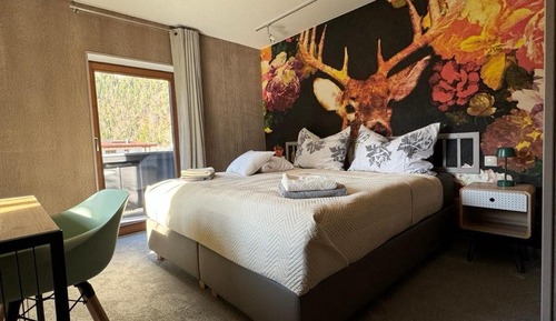 Classic Double or Twin Room, Balcony, Mountain View