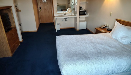 Standard Room, 1 Queen Bed, Roll-in Shower