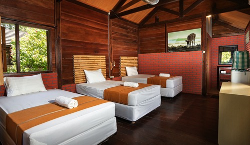 Basic Double or Twin Room
