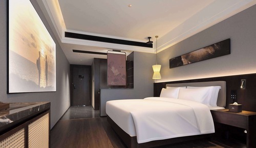 Room, 1 King Bed, Smoking (Cinema)