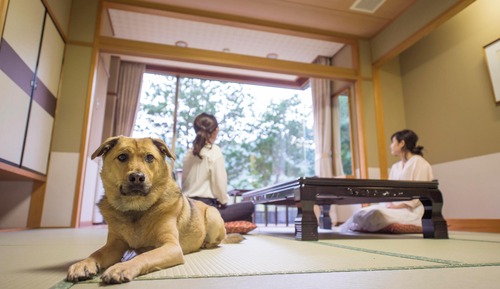 Japanese-Style Room With Private Dog Garden,Non-smoking