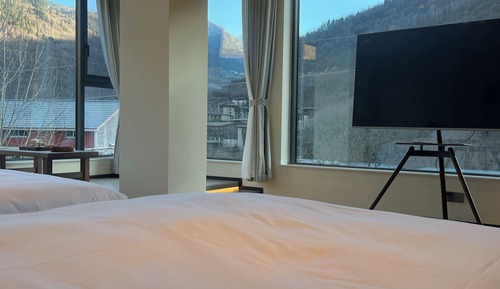 Deluxe Twin Room, Mountain View