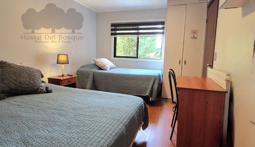 Comfort Suite, Courtyard View