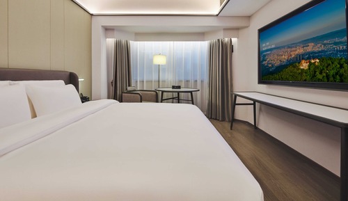 Comfort Single Room