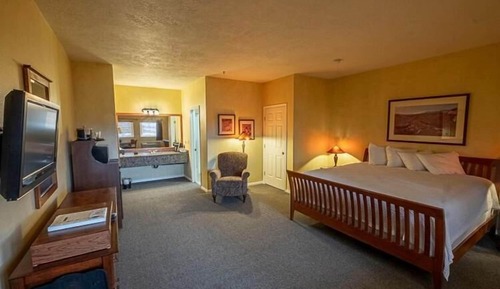 Standard Single Room, Pets Allowed