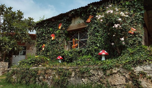 Basic Room, Resort View