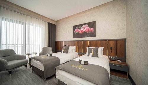 Deluxe Double or Twin Room, Balcony, Mountain View