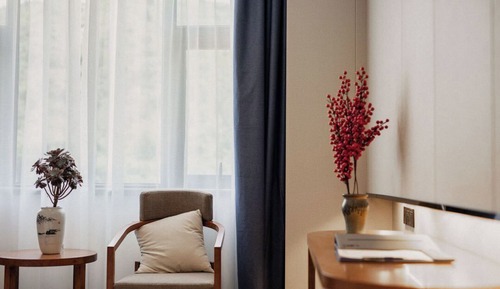 Superior Single Room, Mountain View