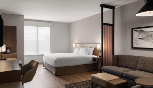 Room, 1 King Bed with Sofa bed, Roll-in Shower