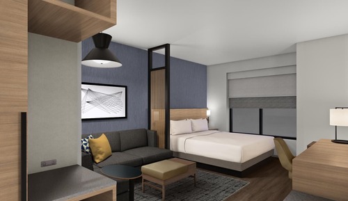 Room, 1 King Bed with Sofa bed, Accessible Bathtub