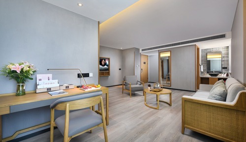 Luxury Suite, City View