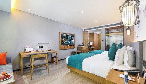 Superior Twin Room, City View