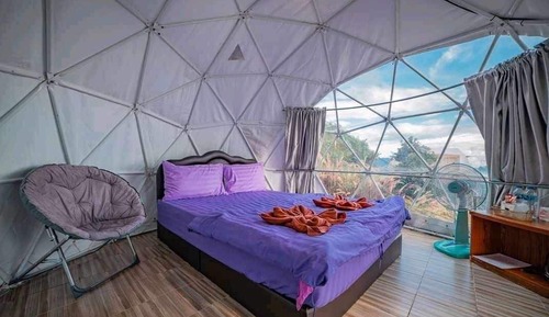 Standard Room, Mountain View