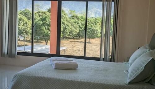 Deluxe Double or Twin Room, Mountain View