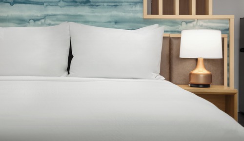Studio, 1 King Bed with Sofa bed (Hearing Accessible)