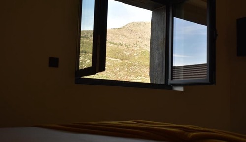 Standard Apartment, Mountain View