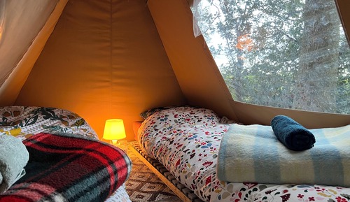 Economy Tent, 2 Twin Beds, Garden Area