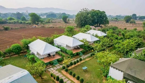 Deluxe Tent, Garden View