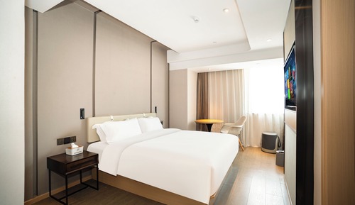 Basic Single Room