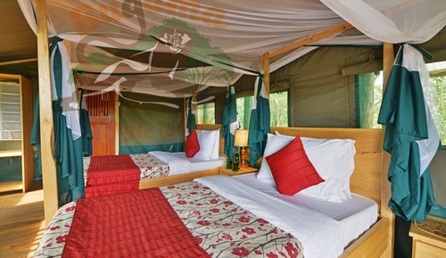 Deluxe Single Room, Balcony