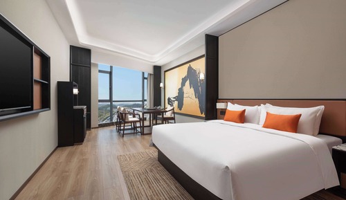 Room, 1 King Bed, Non Smoking (Entertainment)