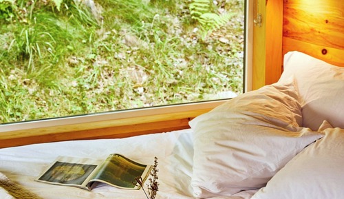 Standard Cabin, 1 Queen Bed
