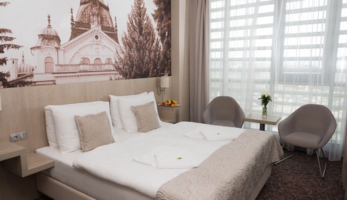 Business Suite, 1 Bedroom