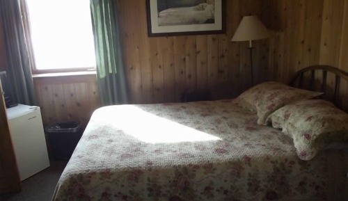 Single Room, 1 Double Bed
