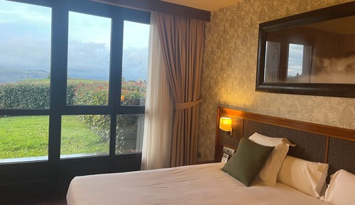 Junior Suite (with private garden)