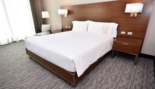 Room, 1 King Bed