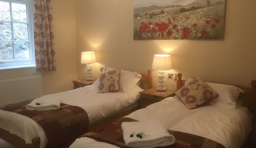 Standard Twin Room