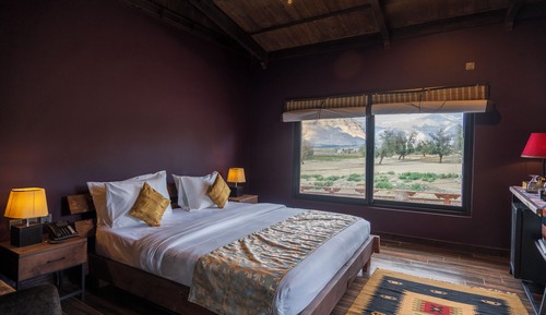 Standard Room, Mountain View