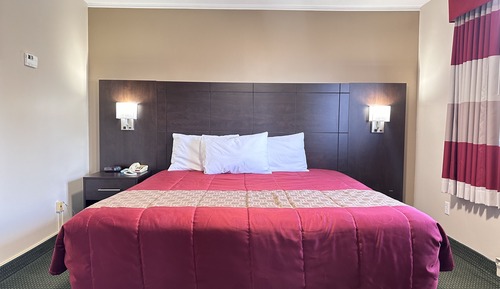Standard Single Room, 1 King Bed, Non Smoking