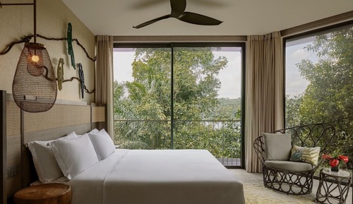 Suite (Rainforest)