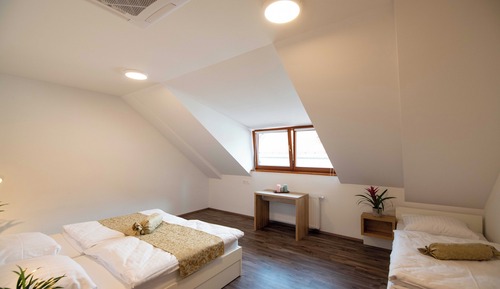 Classic Triple Room
