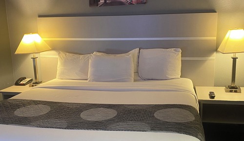 Standard Suite