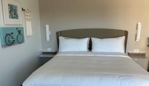 Studio, 1 King Bed with Sofa bed