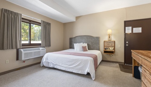 Basic Room, 1 King Bed