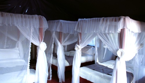 Standard Single Room, 1 Large Twin Bed, Non Smoking, Ground Floor