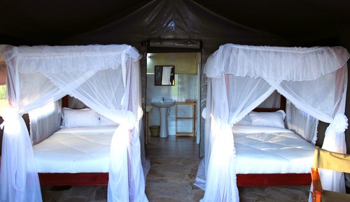 Standard Twin Room, Non Smoking, Ground Floor