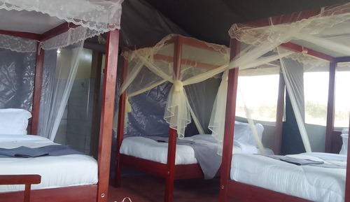 Standard Triple Room, Multiple Beds, Non Smoking, Ground Floor