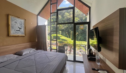 Superior Twin / Double Room With Balcony
