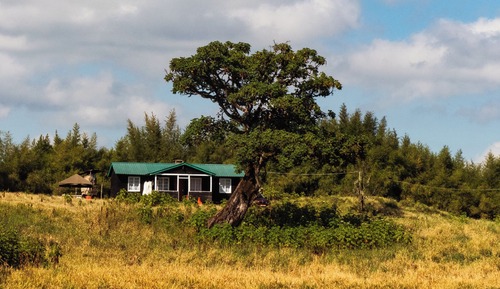 Executive Cottage