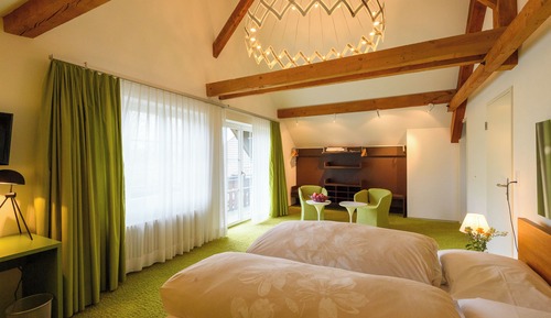 Junior Studio Suite, Garden View
