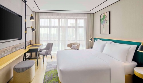 Room, 1 King Bed
