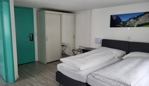 Business Double or Twin Room, Mountain View