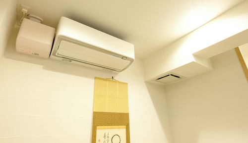 Basic Apartment, Non Smoking (102)