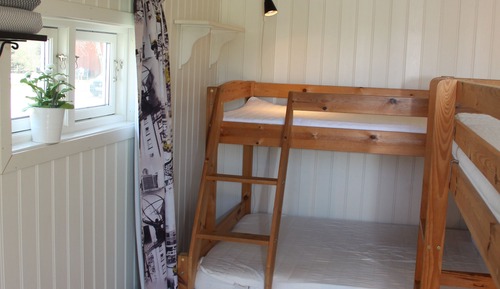 Basic Cabin