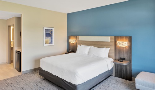 Standard Room, 1 King Bed, Roll-in Shower (Mobility)